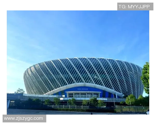 重庆网球队在钻石联赛中的转型与崛起之路探秘