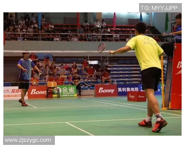 南京羽毛球队在世界锦标赛上的拼搏历程与荣耀时刻回顾