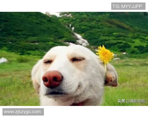 足球明星歪头搞笑瞬间合集欣赏让你捧腹大笑的精彩图片分享 足球明星歪头搞笑瞬间合集欣赏让你捧腹大笑的精彩图片分享